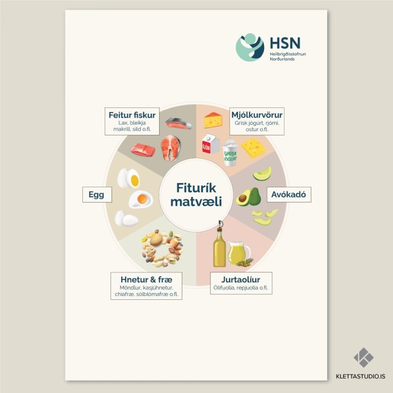 Leiðbeiningar um matvæli og hollustu fyrir HSN